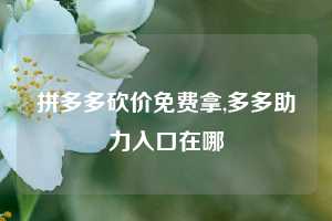 拼多多砍价免费拿,多多助力入口在哪
