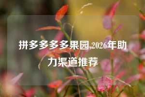 拼多多多多果园,2026年助力渠道推荐
