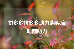 拼多多拼多多助力购买,自助刷助力