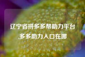 辽宁省拼多多帮助力平台,多多助力入口在哪