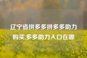 辽宁省拼多多拼多多助力购买,多多助力入口在哪