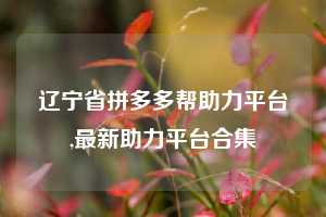 辽宁省拼多多帮助力平台,最新助力平台合集