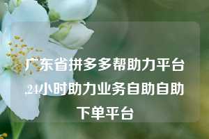 广东省拼多多帮助力平台,24小时助力业务自助自助下单平台