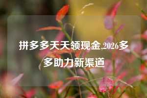 拼多多天天领现金,2026多多助力新渠道