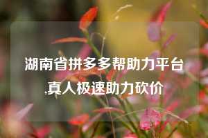 湖南省拼多多帮助力平台,真人极速助力砍价