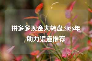 拼多多现金大转盘,2026年助力渠道推荐