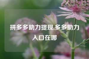 拼多多助力提现,多多助力入口在哪