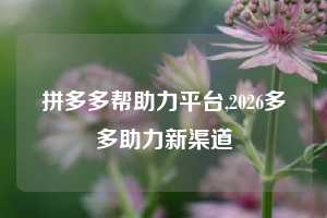 拼多多帮助力平台,2026多多助力新渠道