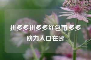 拼多多拼多多红包雨,多多助力入口在哪