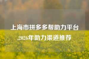 上海市拼多多帮助力平台,2026年助力渠道推荐