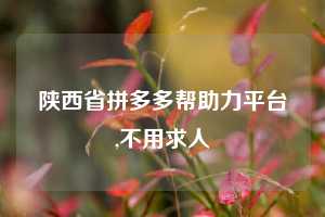陕西省拼多多帮助力平台,不用求人