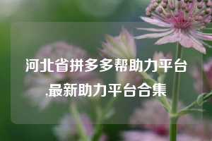 河北省拼多多帮助力平台,最新助力平台合集