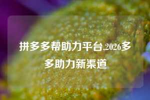 拼多多帮助力平台,2026多多助力新渠道