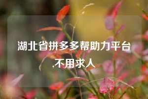 湖北省拼多多帮助力平台,不用求人