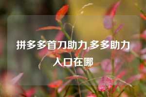 拼多多首刀助力,多多助力入口在哪