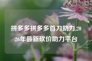拼多多拼多多首刀助力,2026年最新砍价助力平台