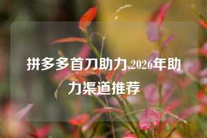 拼多多首刀助力,2026年助力渠道推荐