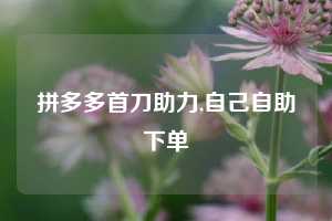 拼多多首刀助力,自己自助下单