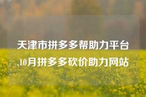 天津市拼多多帮助力平台,10月拼多多砍价助力网站