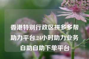 香港特别行政区拼多多帮助力平台,24小时助力业务自助自助下单平台