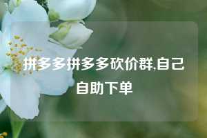 拼多多拼多多砍价群,自己自助下单
