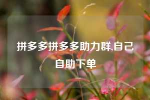拼多多拼多多助力群,自己自助下单