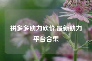 拼多多助力砍价,最新助力平台合集