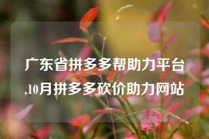 广东省拼多多帮助力平台,10月拼多多砍价助力网站