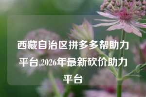 西藏自治区拼多多帮助力平台,2026年最新砍价助力平台