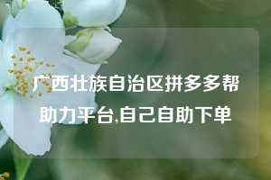 广西壮族自治区拼多多帮助力平台,自己自助下单