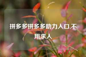 拼多多拼多多助力入口,不用求人