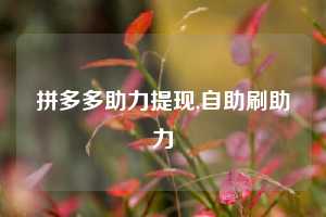 拼多多助力提现,自助刷助力
