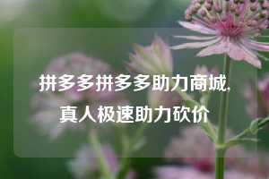 拼多多拼多多助力商城,真人极速助力砍价