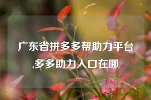 广东省拼多多帮助力平台,多多助力入口在哪