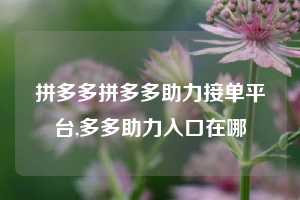 拼多多拼多多助力接单平台,多多助力入口在哪