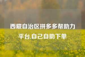 西藏自治区拼多多帮助力平台,自己自助下单