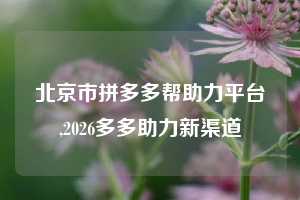 北京市拼多多帮助力平台,2026多多助力新渠道
