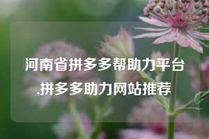 河南省拼多多帮助力平台,拼多多助力网站推荐