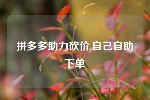 拼多多助力砍价,自己自助下单