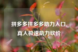 拼多多拼多多助力入口,真人极速助力砍价