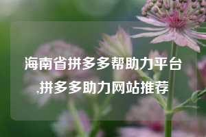 海南省拼多多帮助力平台,拼多多助力网站推荐
