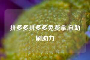 拼多多拼多多免费拿,自助刷助力