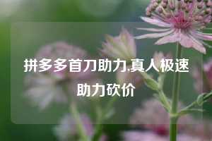拼多多首刀助力,真人极速助力砍价