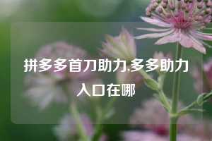 拼多多首刀助力,多多助力入口在哪