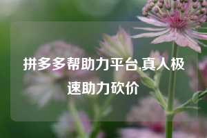 拼多多帮助力平台,真人极速助力砍价