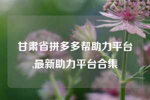 甘肃省拼多多帮助力平台,最新助力平台合集