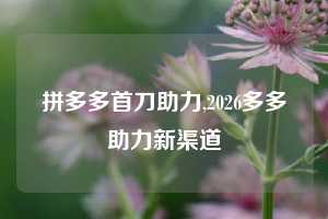 拼多多首刀助力,2026多多助力新渠道
