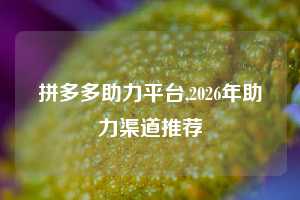 拼多多助力平台,2026年助力渠道推荐