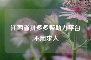 江西省拼多多帮助力平台,不用求人