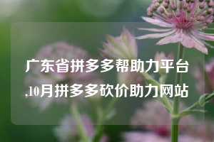 广东省拼多多帮助力平台,10月拼多多砍价助力网站